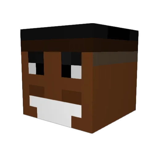 Galactictreecat Minecraft avatar head, 3D render