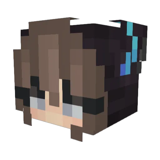Galahs Minecraft avatar head, 3D render