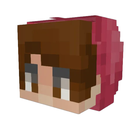 Galapa101 Minecraft avatar head, 3D render