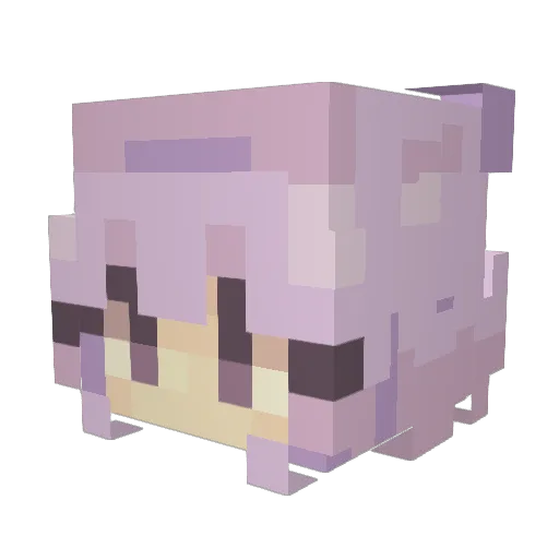 Galar_Zoomer Minecraft avatar head, 3D render