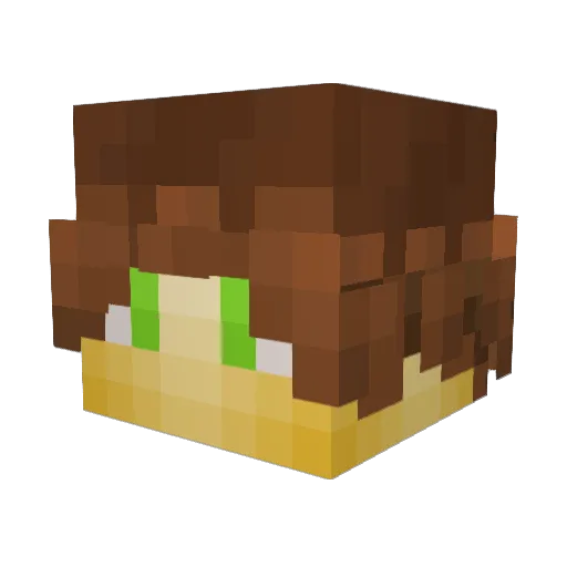 GalaticGoose Minecraft avatar head, 3D render