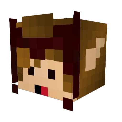 GalaxY0ne Minecraft avatar head, 3D render