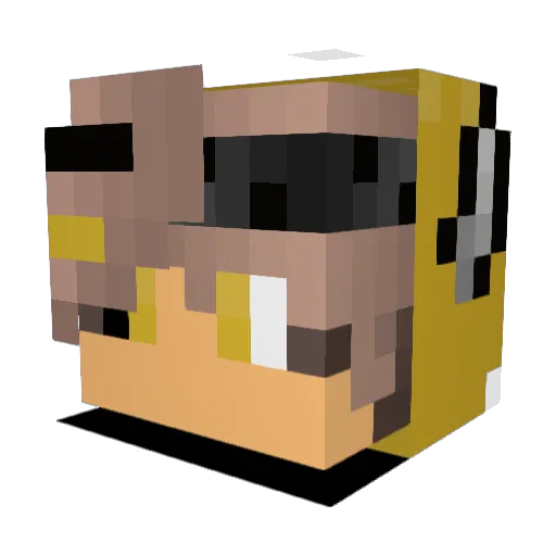 Galaxs_Pleyer Minecraft avatar head, 3D render