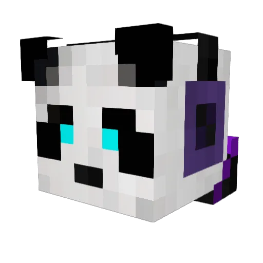 GalaxxyPanda Minecraft avatar head, 3D render