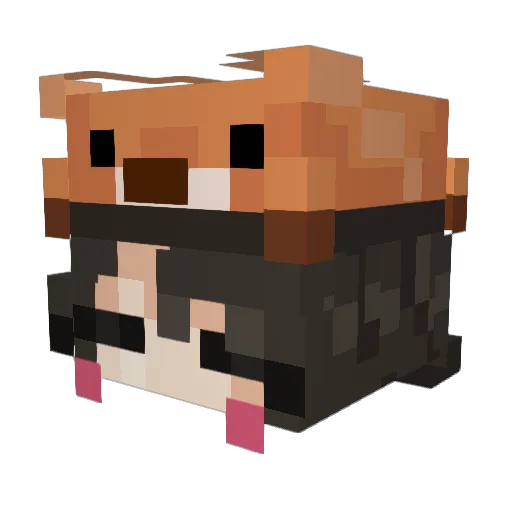 Galaxy13Crafter Minecraft avatar head, 3D render