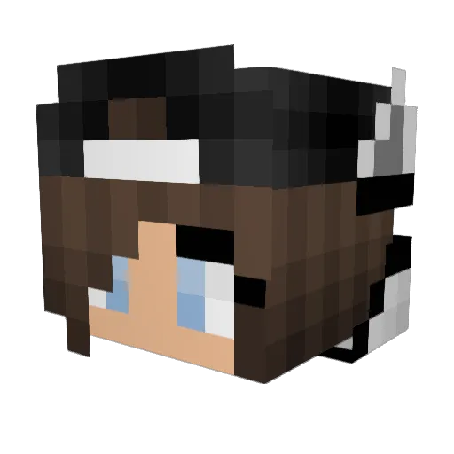 Galaxy2118 Minecraft avatar head, 3D render
