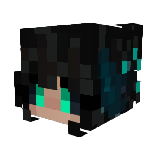 Galaxy677 Minecraft avatar head, 3D render