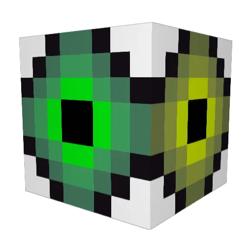 GalaxyBaconBoi Minecraft avatar head, 3D render
