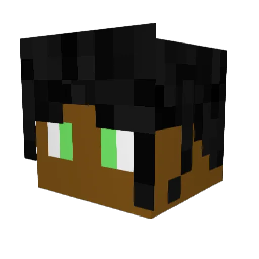 GalaxyBlox14 Minecraft avatar head, 3D render