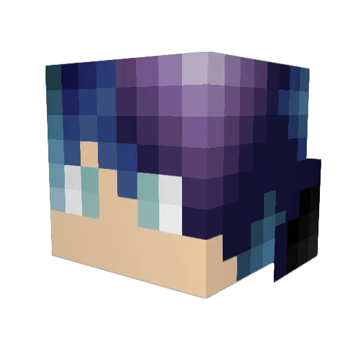 GalaxyCat123 Minecraft avatar head, 3D render