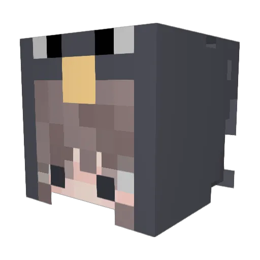GalaxyChicken Minecraft avatar head, 3D render