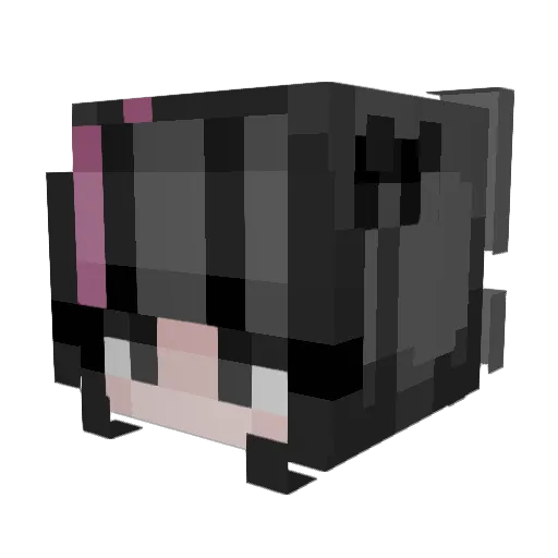 GalaxyFox9 Minecraft avatar head, 3D render
