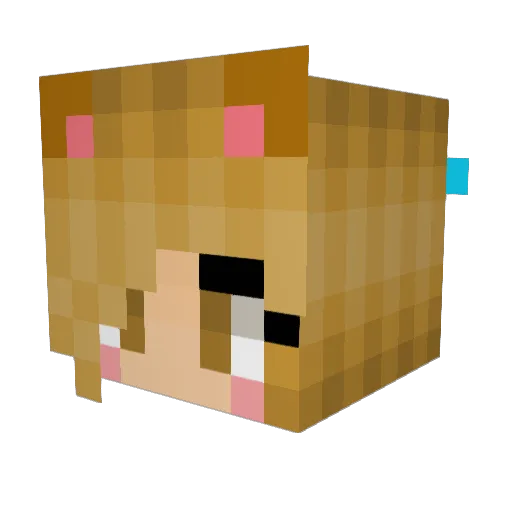 GalaxyGal125 Minecraft avatar head, 3D render