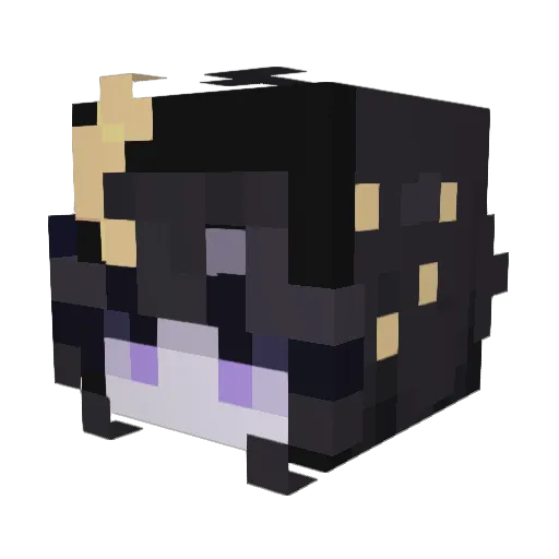 GalaxyGamer06 Minecraft avatar head, 3D render
