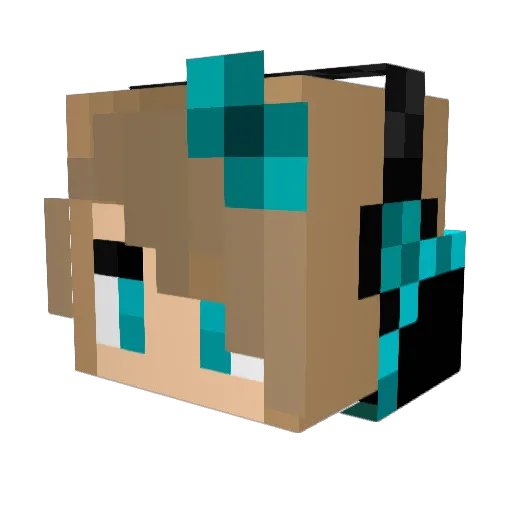 GalaxyGirl20 Minecraft avatar head, 3D render
