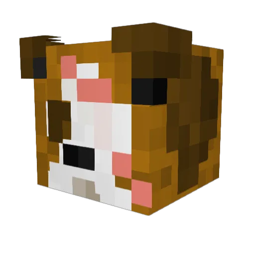 GalaxyGlobes Minecraft avatar head, 3D render