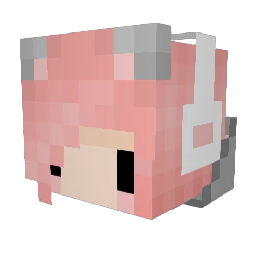 GalaxyKitty11 Minecraft avatar head, 3D render