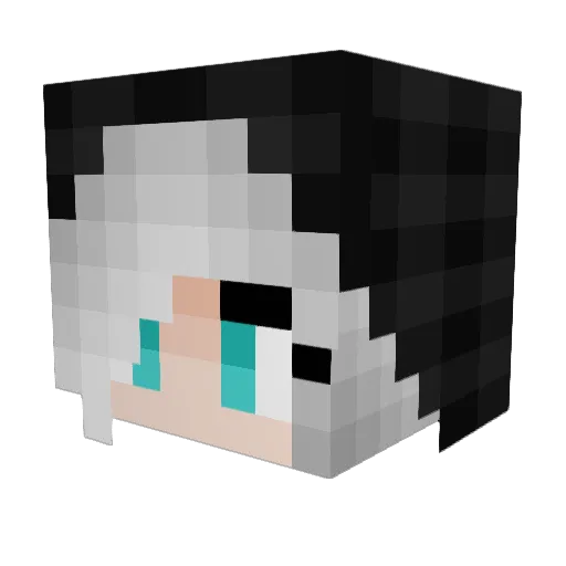 GalaxyMeowz Minecraft avatar head, 3D render