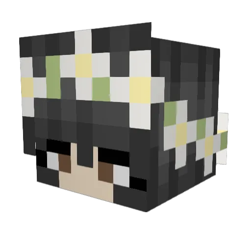 GalaxyNightmare8 Minecraft avatar head, 3D render