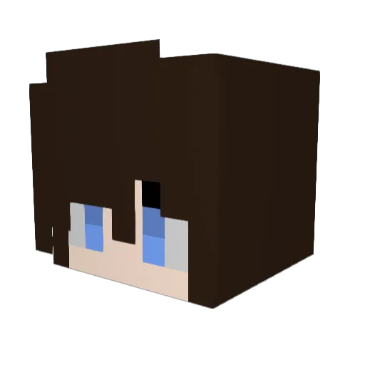GalaxyRaven Minecraft avatar head, 3D render