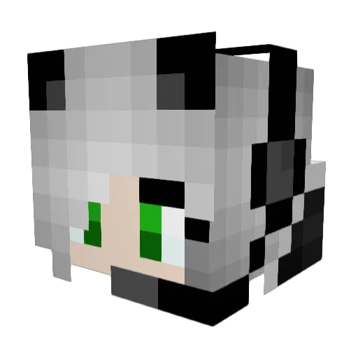 GalaxyWolfpack Minecraft avatar head, 3D render