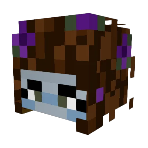 Galaxy_Marrow Minecraft avatar head, 3D render