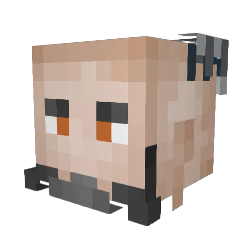 Galaxy_Phoenix1 Minecraft avatar head, 3D render