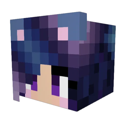 Galaxy_Wolfy Minecraft avatar head, 3D render