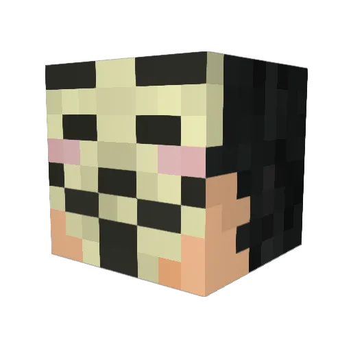 Galaxyen Minecraft avatar head, 3D render