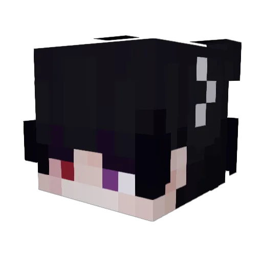 Galaxyturtle105 Minecraft avatar head, 3D render