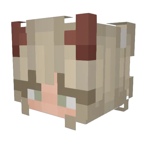 Galaxywolf4kk Minecraft avatar head, 3D render