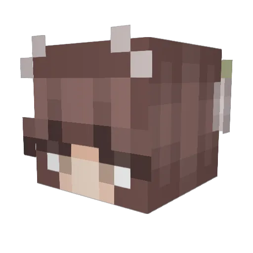GaleKnight94 Minecraft avatar head, 3D render
