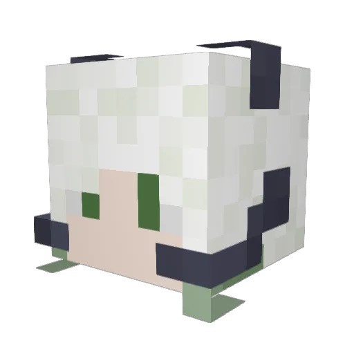 GaleRoar Minecraft avatar head, 3D render