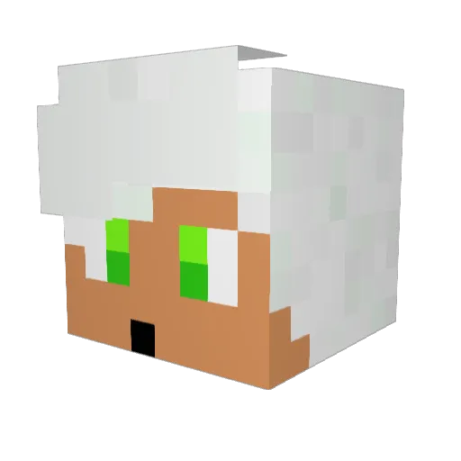 Gale_TR Minecraft avatar head, 3D render