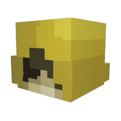 Galesudaruska Minecraft avatar head, 3D render
