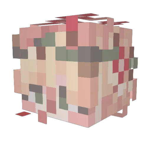 Galet69 Minecraft avatar head, 3D render
