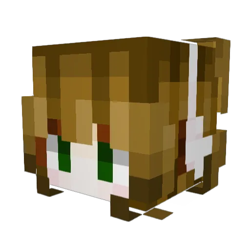 Galileida Minecraft avatar head, 3D render