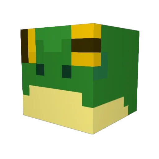 GalileoKnight Minecraft avatar head, 3D render