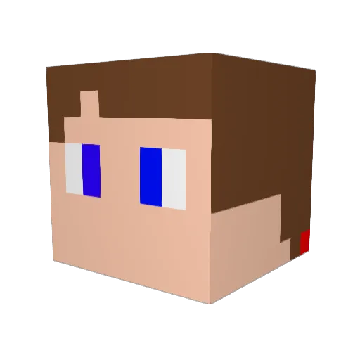 Gall2ch Minecraft avatar head, 3D render