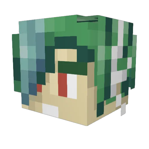 Gallade21 Minecraft avatar head, 3D render