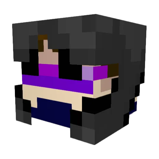 Gallader20 Minecraft avatar head, 3D render