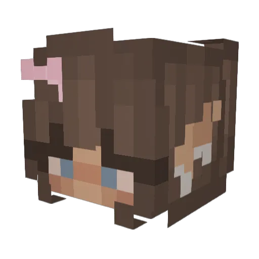 Gallaxau Minecraft avatar head, 3D render