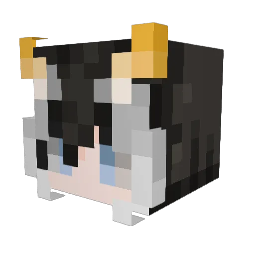 Galllowz Minecraft avatar head, 3D render