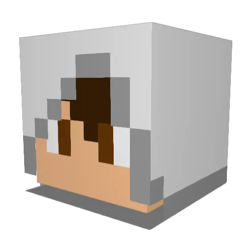 GallusBaer Minecraft avatar head, 3D render