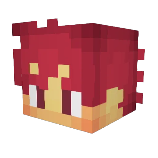 Gallxgher Minecraft avatar head, 3D render