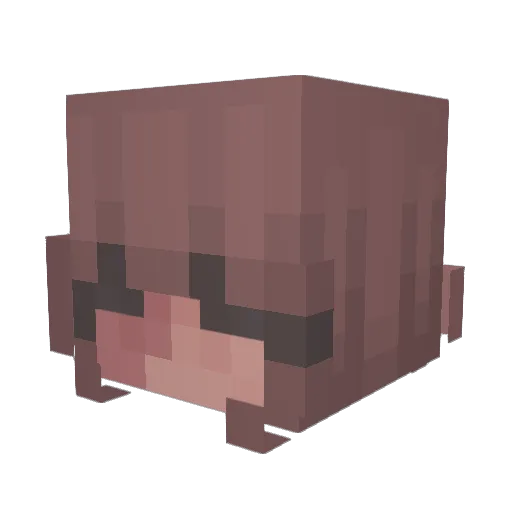 Galonk Minecraft avatar head, 3D render