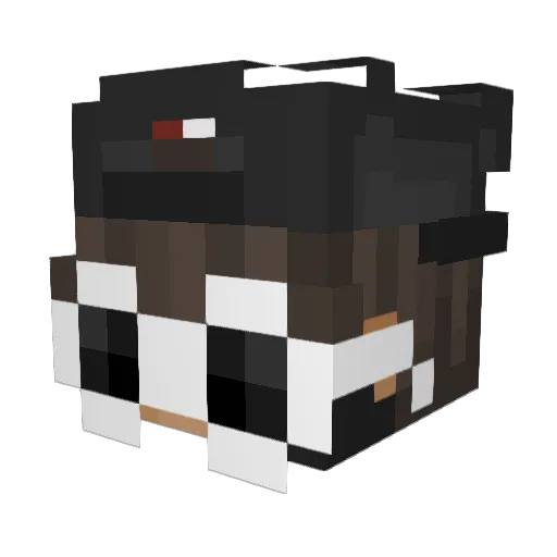 Galory Minecraft avatar head, 3D render