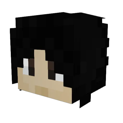 Galshi Minecraft avatar head, 3D render