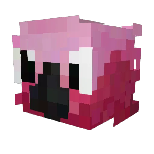 Galumen Minecraft avatar head, 3D render