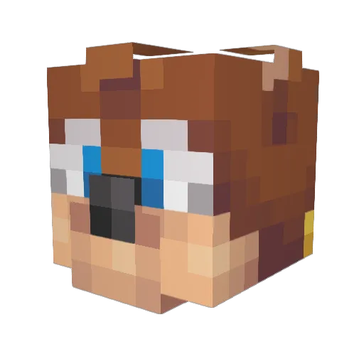 GameDen10 Minecraft avatar head, 3D render
